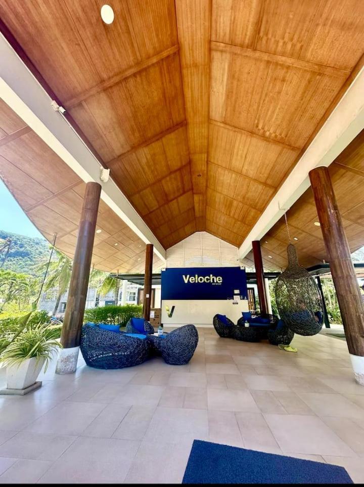 Veloche Karon Palm Apartment